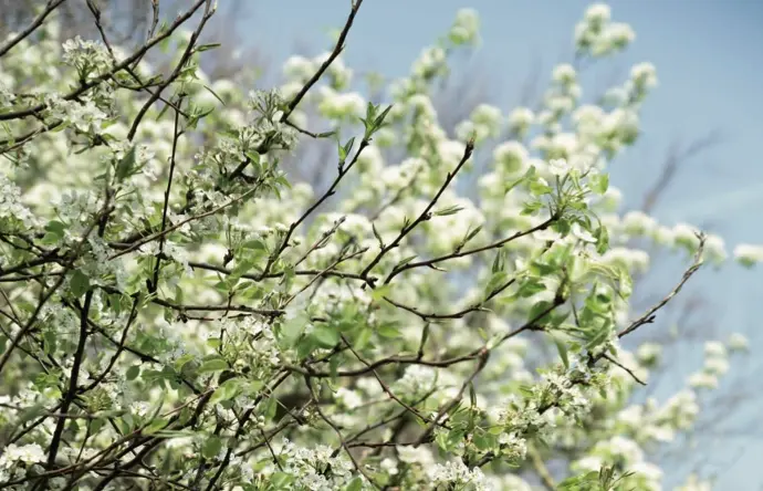 Gids 2u (individueel bijboeken)